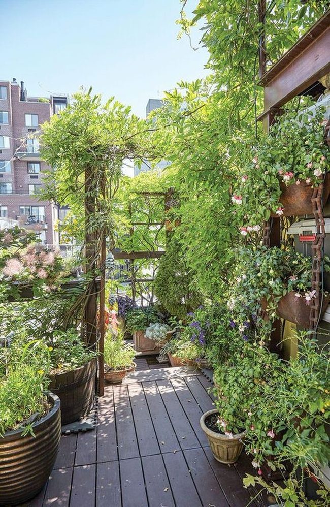 Urban Rooftop Garden Oasis