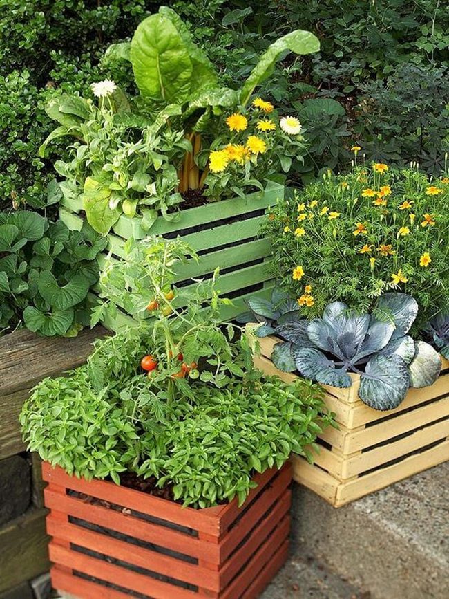Rainbow Painted Crate Vegetable Garden