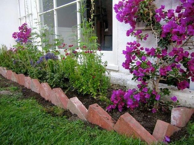 Angled Brick Frames Blooming Butterflies