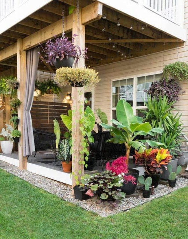 Layered Green Plants Frame Your Porch