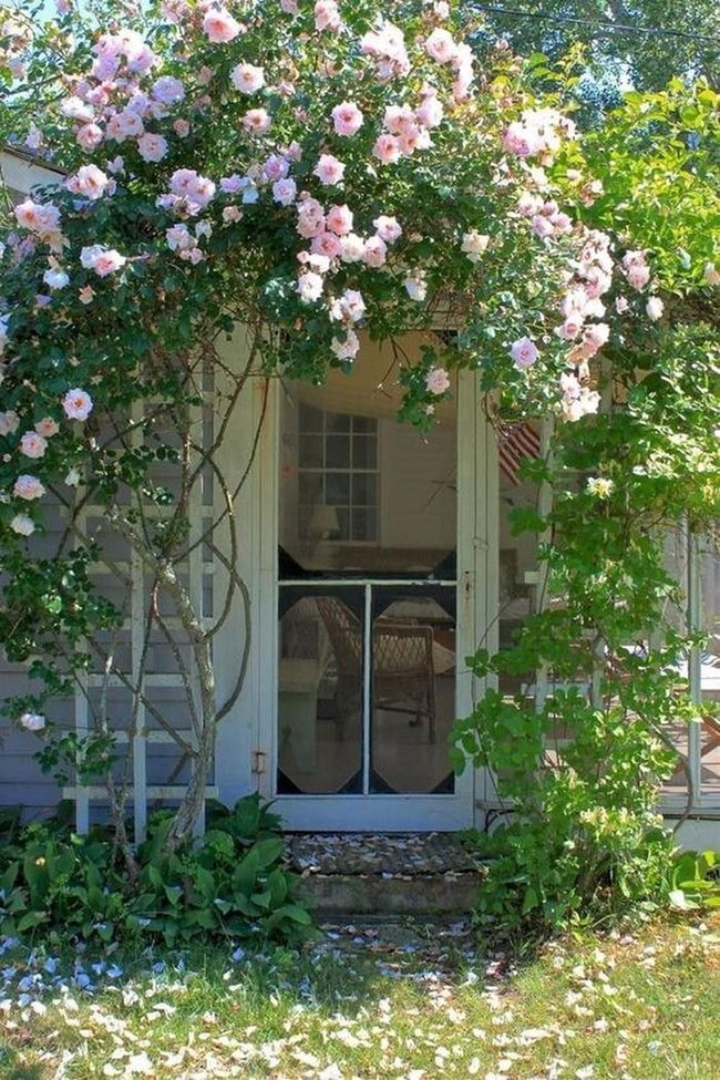 Pale Pink Roses Archway Gate