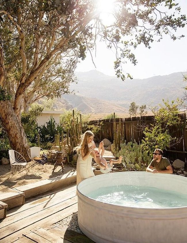 Poolside Laughter Among Desert Trees