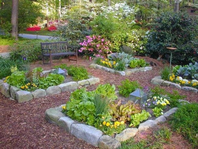Stone Borders Define Garden Zones