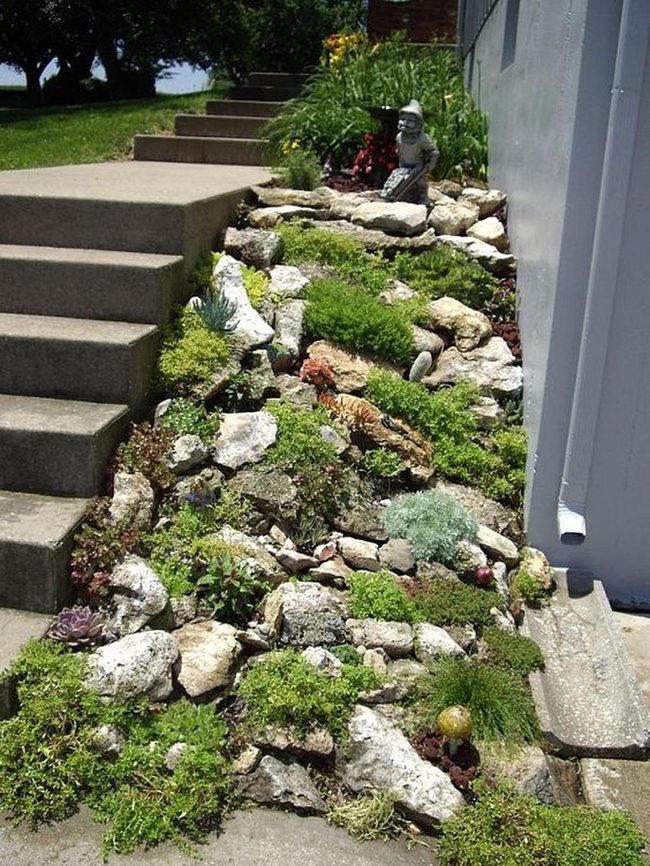 Colorful Flowers Against Gray Stone
