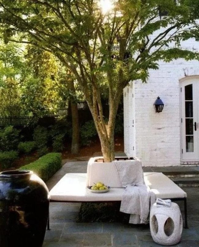 White Curved Bench Under Dappled Shade