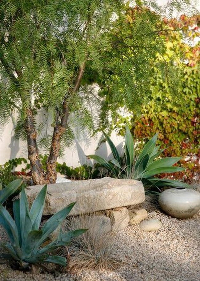 Stone Garden With Sprawling Greenery