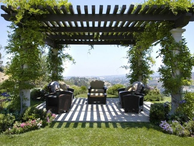 Living Green Pergola Canopy