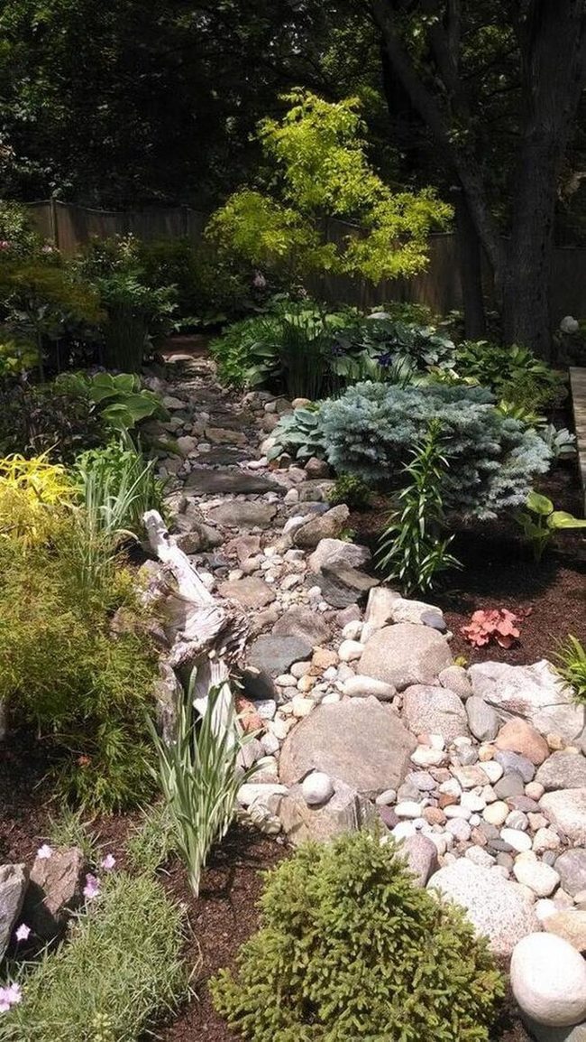 Stone Path Through Living Green