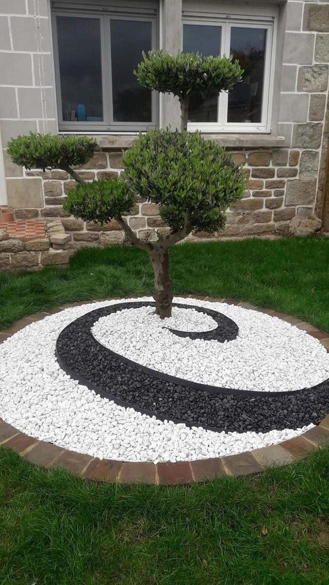 Stone Pathways Through Minimalist Greenery
