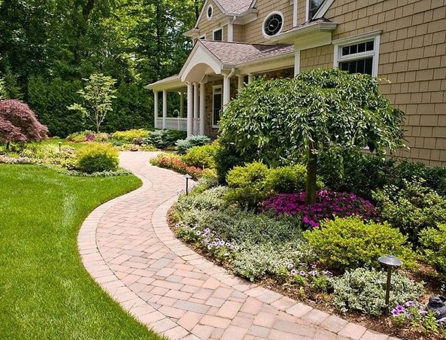 Sunlit Paved Path Through Blooms