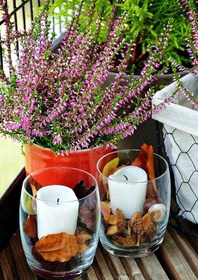 Purple Heather And Candlelit Autumn