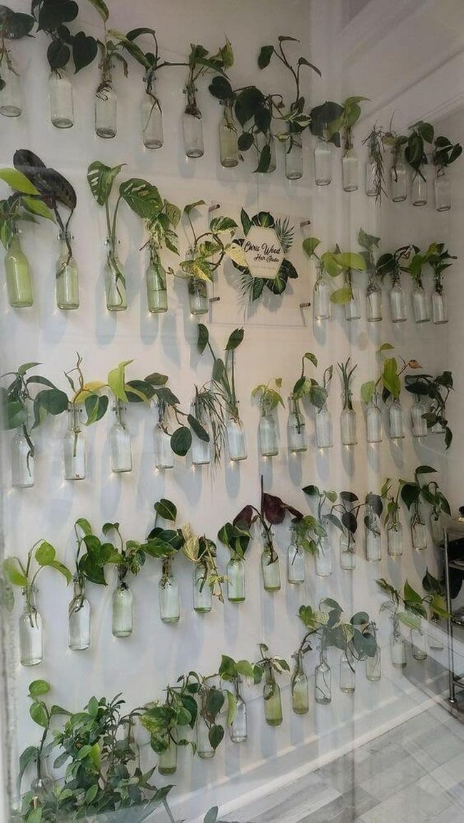 Suspended Glass Planters With Cascading Greenery