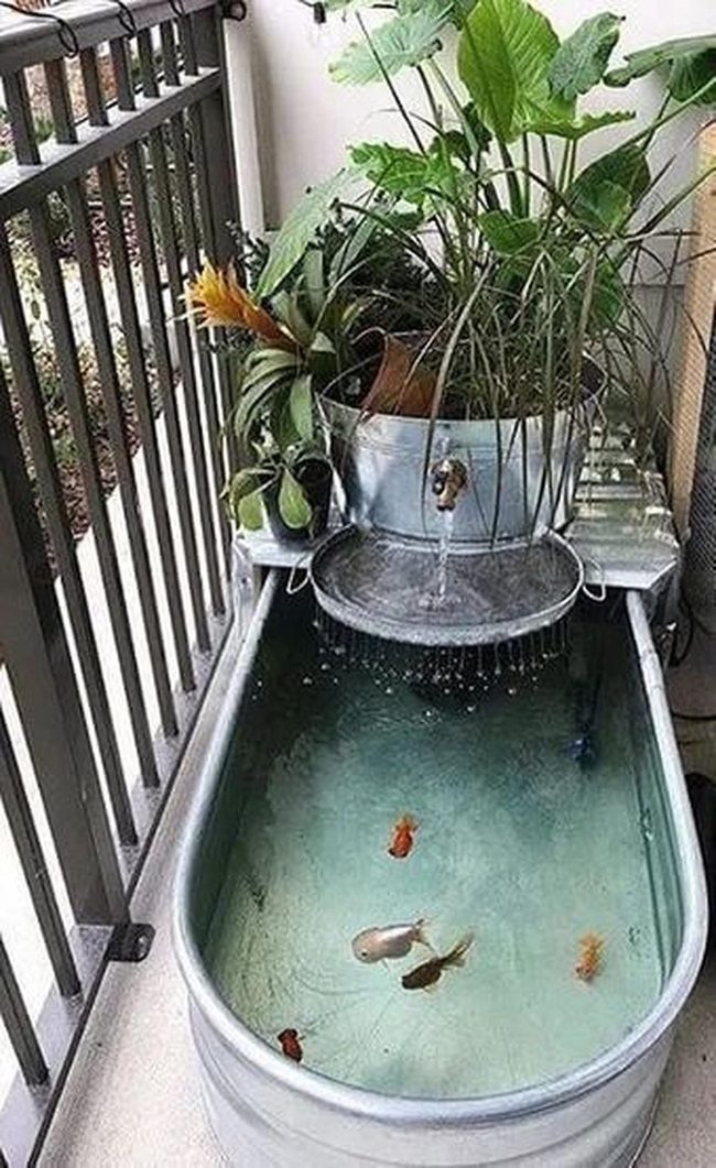 Galvanized Metal Pond With Living Fish