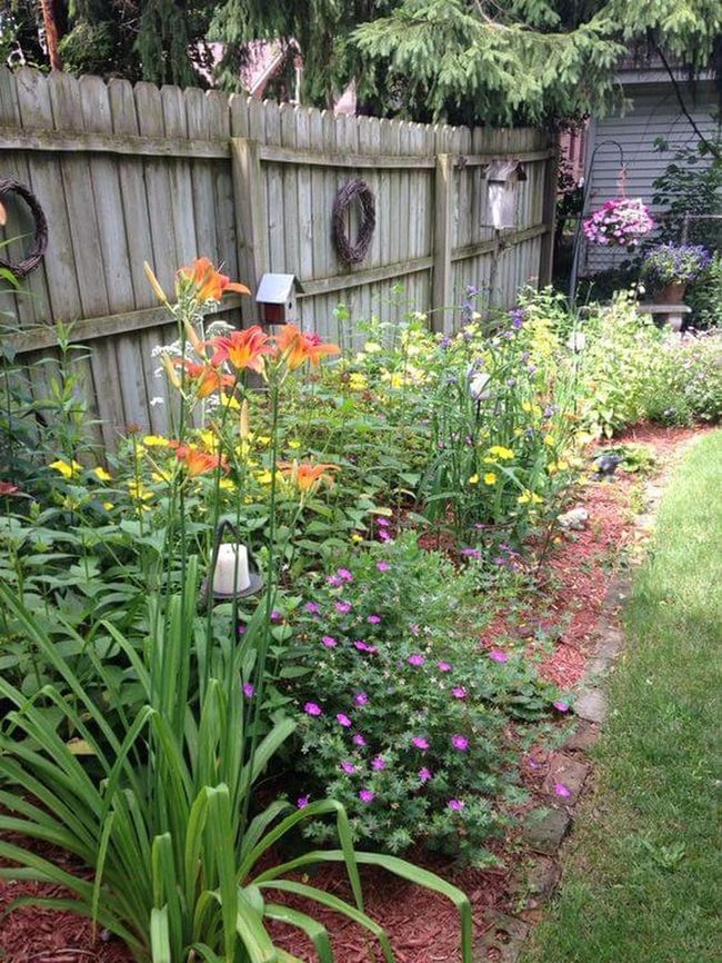 Blooming Pathways Through Evening Light