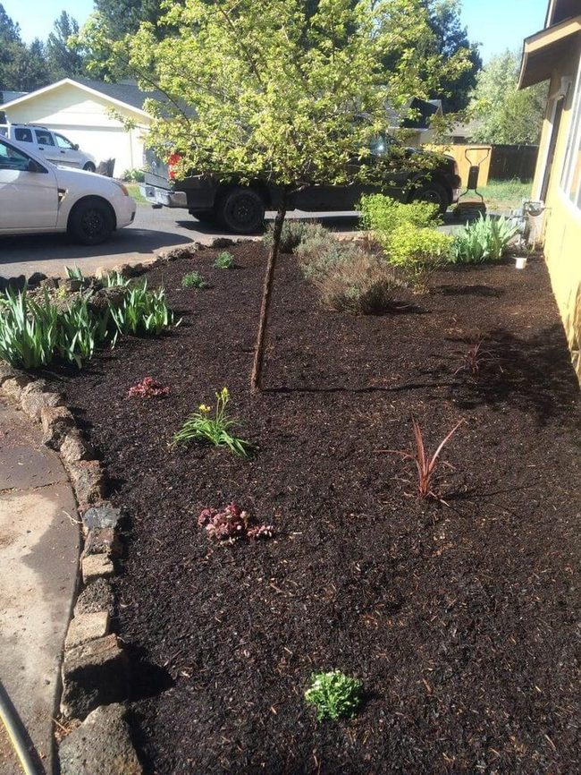 Deep Mulch, Brighter Plants