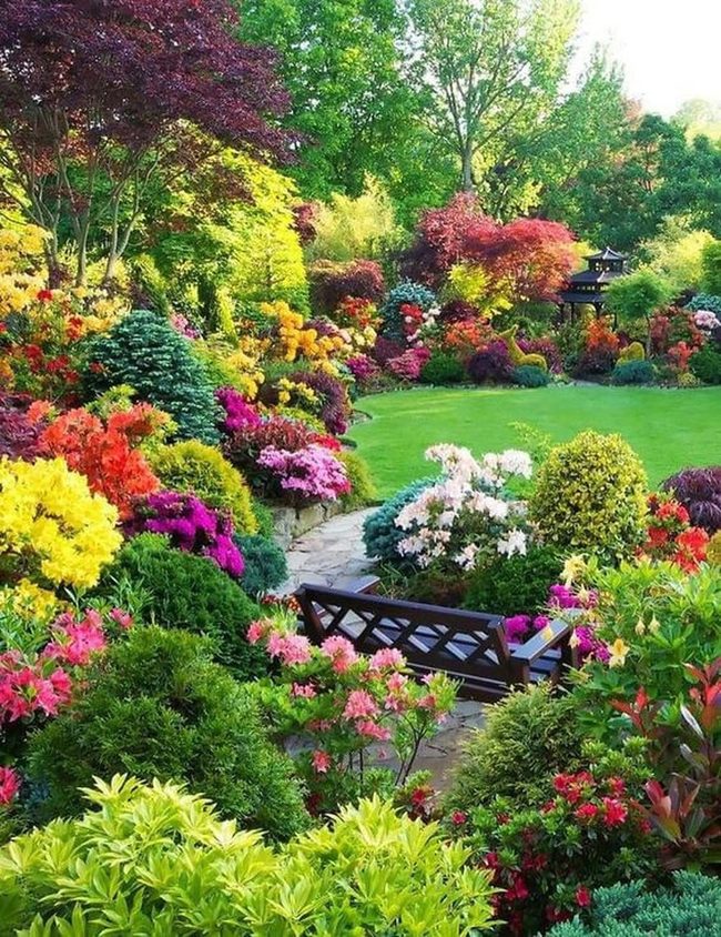 Blooming Garden With Quiet Bench