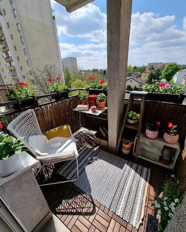 Petunias Marigolds Geraniums Balcony Containers