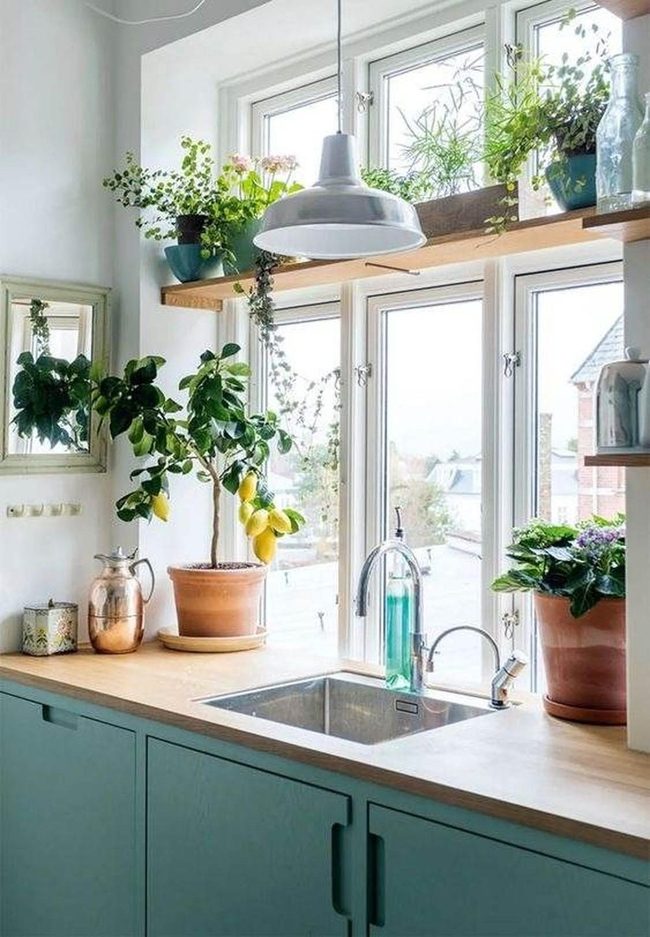 Fresh Herbs Within Arm'S Reach