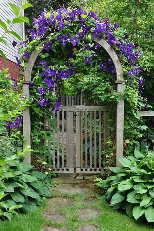Purple Blooms Frame Wooden Archway