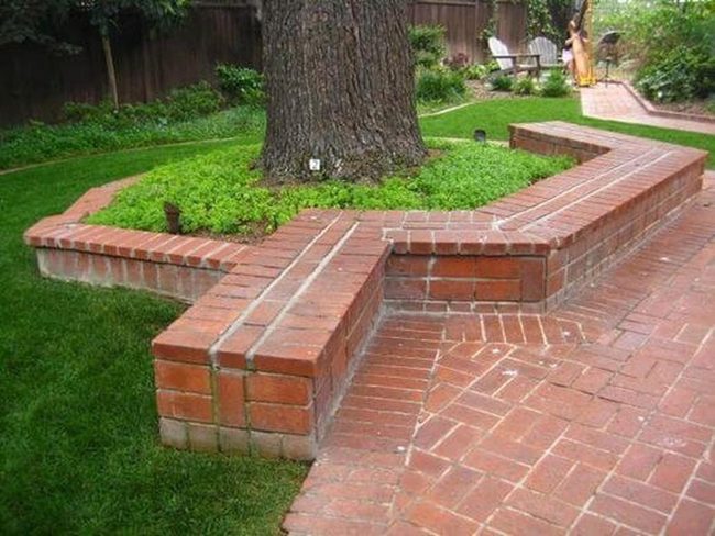 Curved Brick Benches Around Ancient Tree