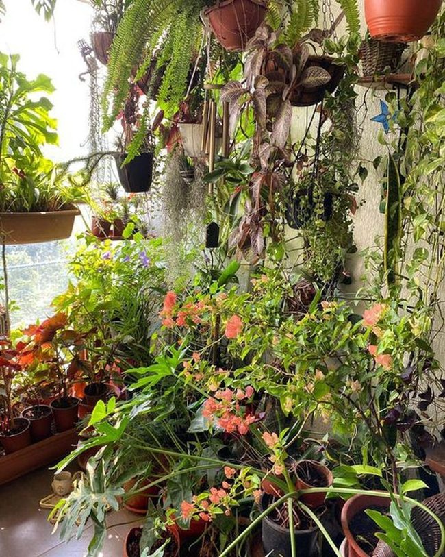 Emerald Monstera Jungle Balcony