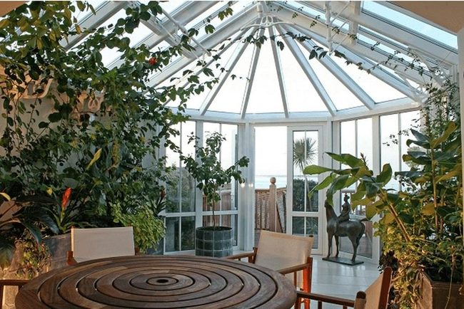 Glass, Green Plants, And Natural Wood