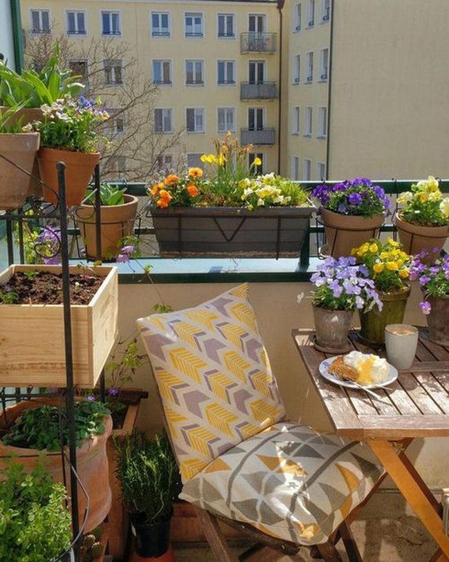 Flowers Transform Tiny Urban Balcony