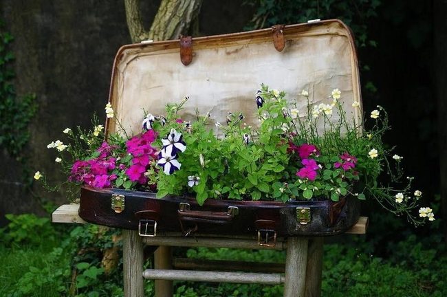 Vintage Suitcase Flower Planter