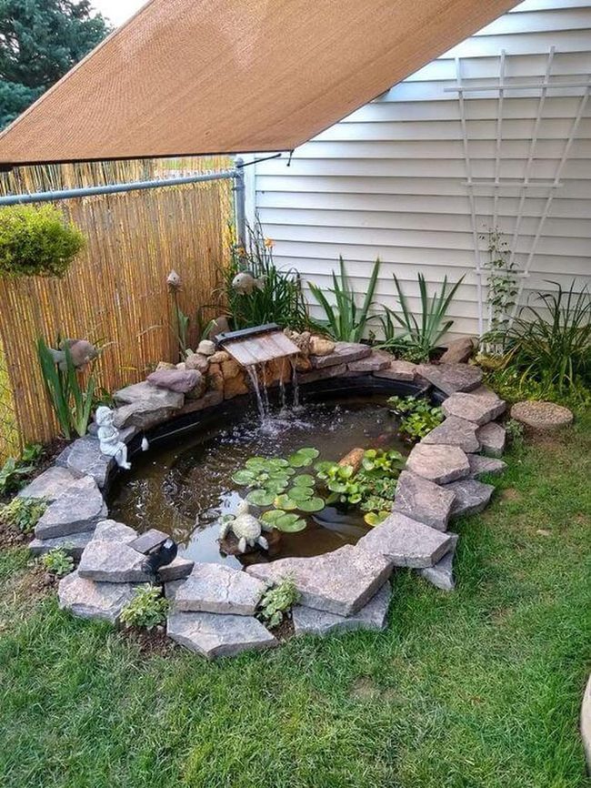 Stone-Bordered Pond With Blooming Water Lilies