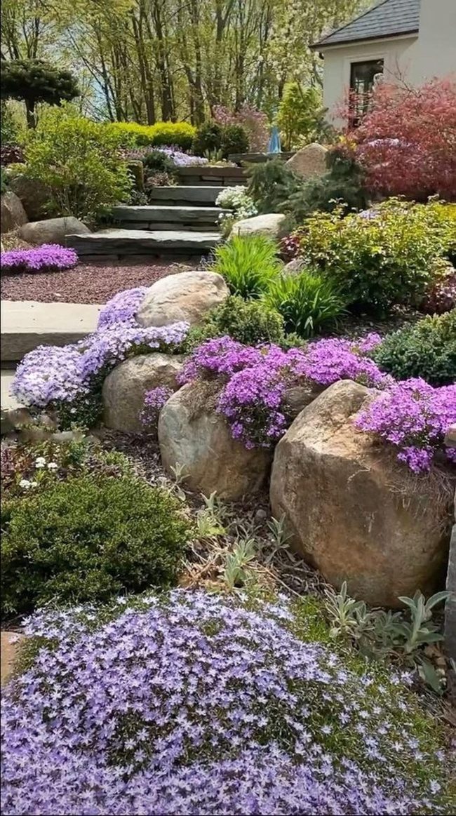Purple Blooms Between Layered Stone