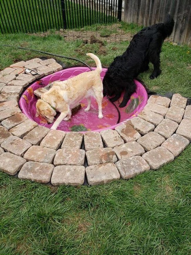 Stone Circle Dog Splash Zone
