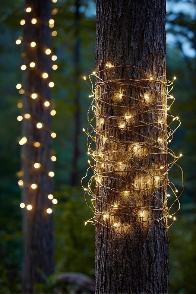 Glowing White Lights Wrapped Trees