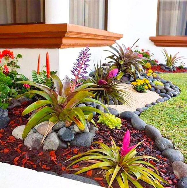 Tropical Blooms With Curved Stone Borders