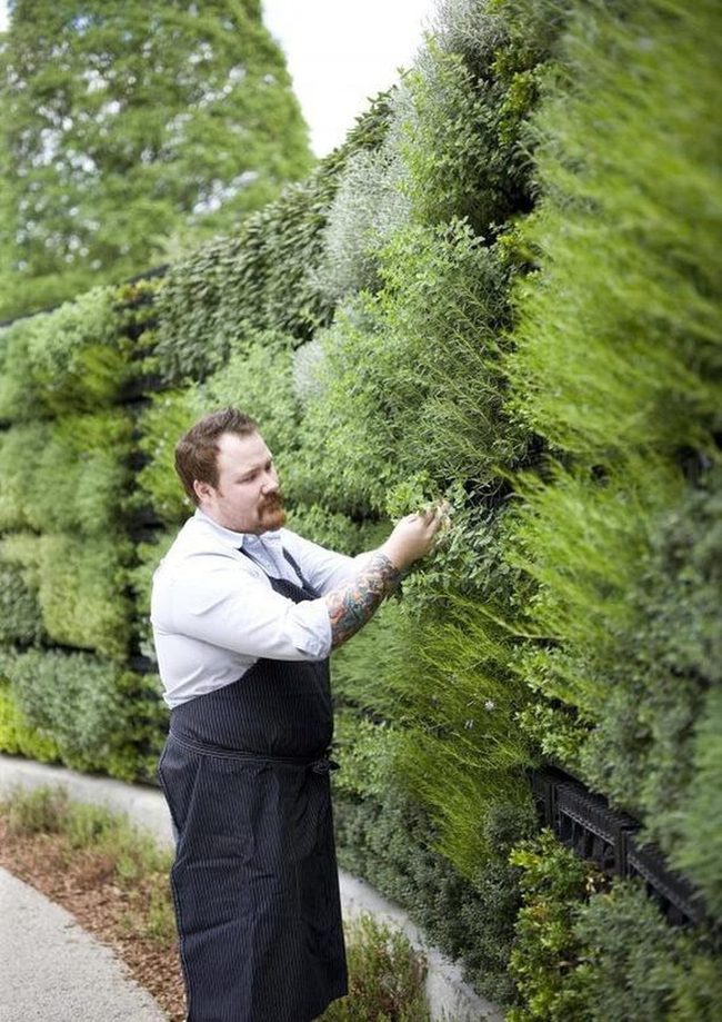 Living Green Wall Installation