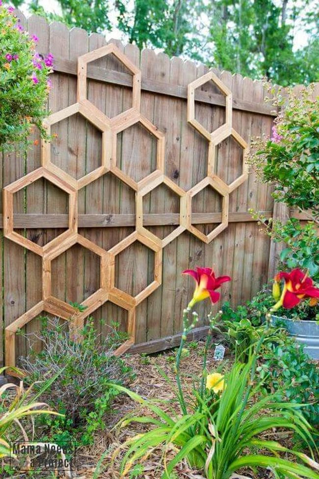 Climbing Vines On Wooden Geometry