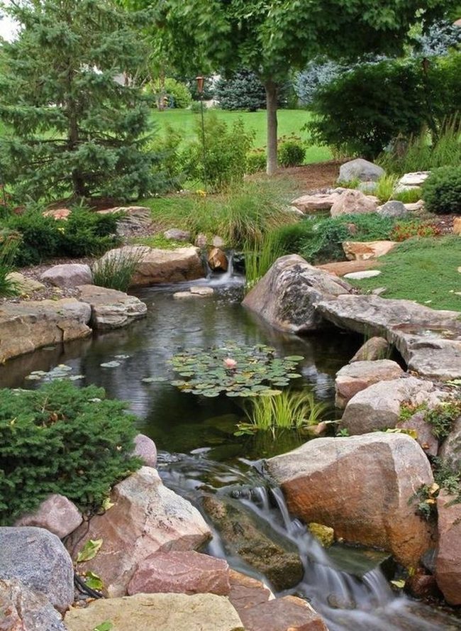 Lily Pads And Flowing Water