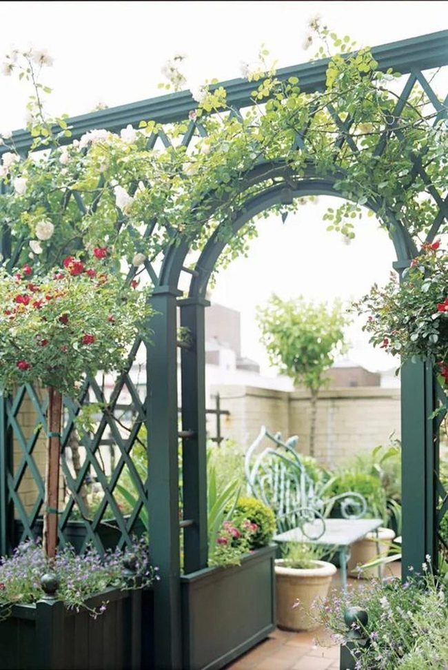 Dark Trellis, Blooming Rainbow Garden