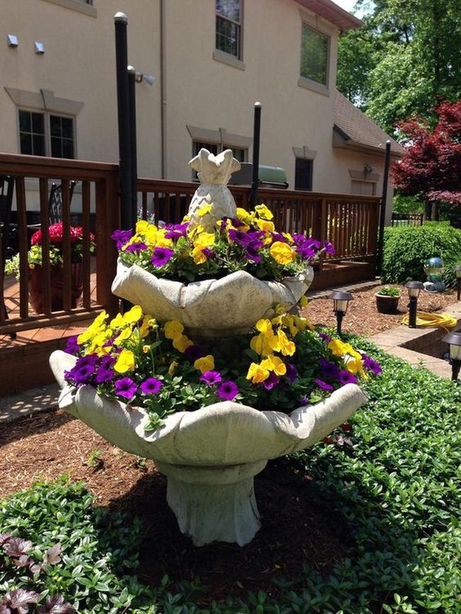 Yellow And Purple Stone Planters