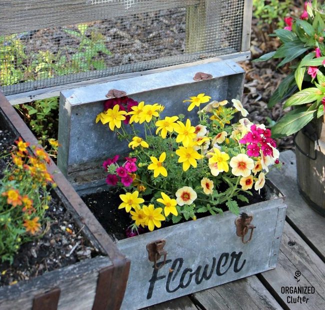Yellow And Pink Blooms In Metal Boxes