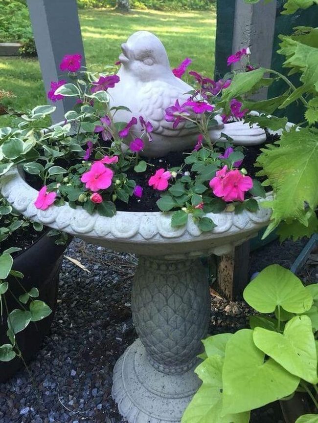 Pink Blooms Stone Birdbath Garden