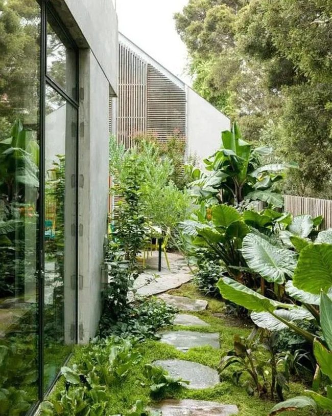Stone Path Through Emerald Garden Canopy