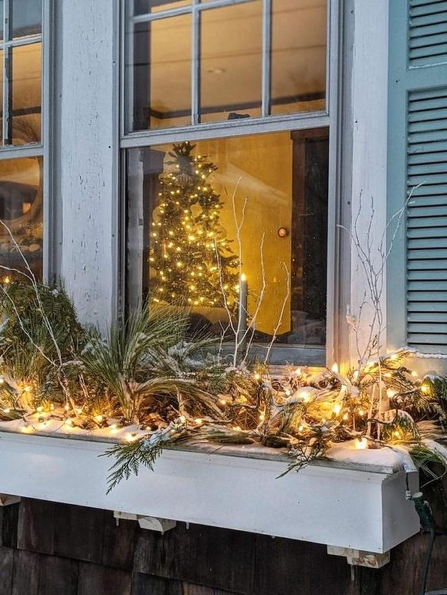 Evergreen Window With Golden Light
