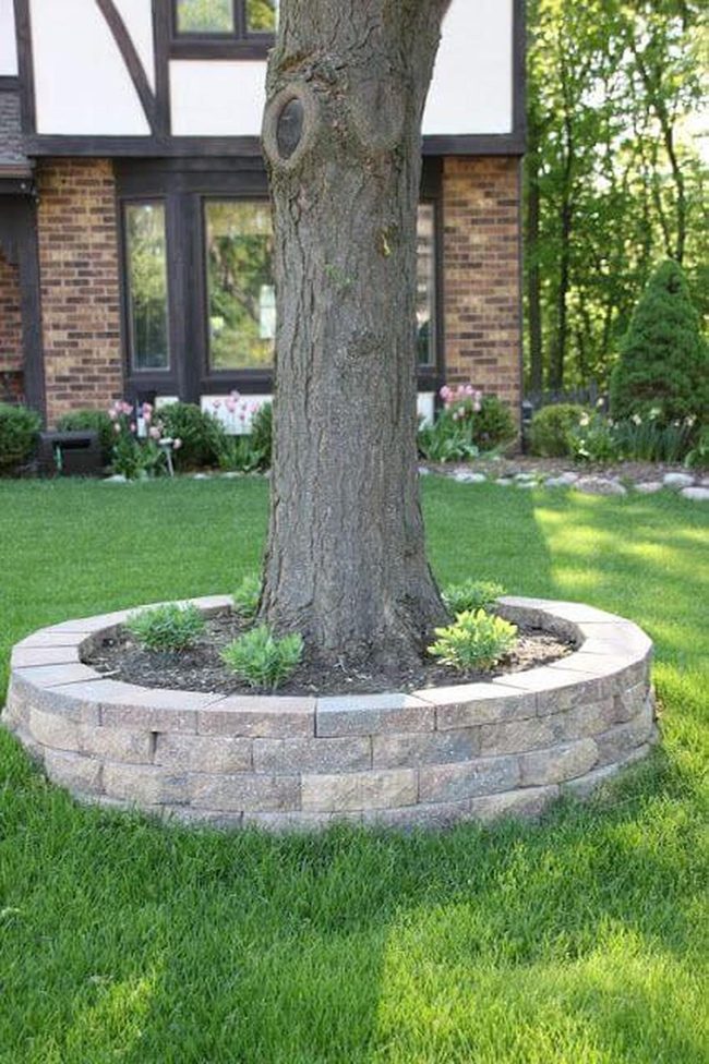 Stone Circle Tree Ring Garden