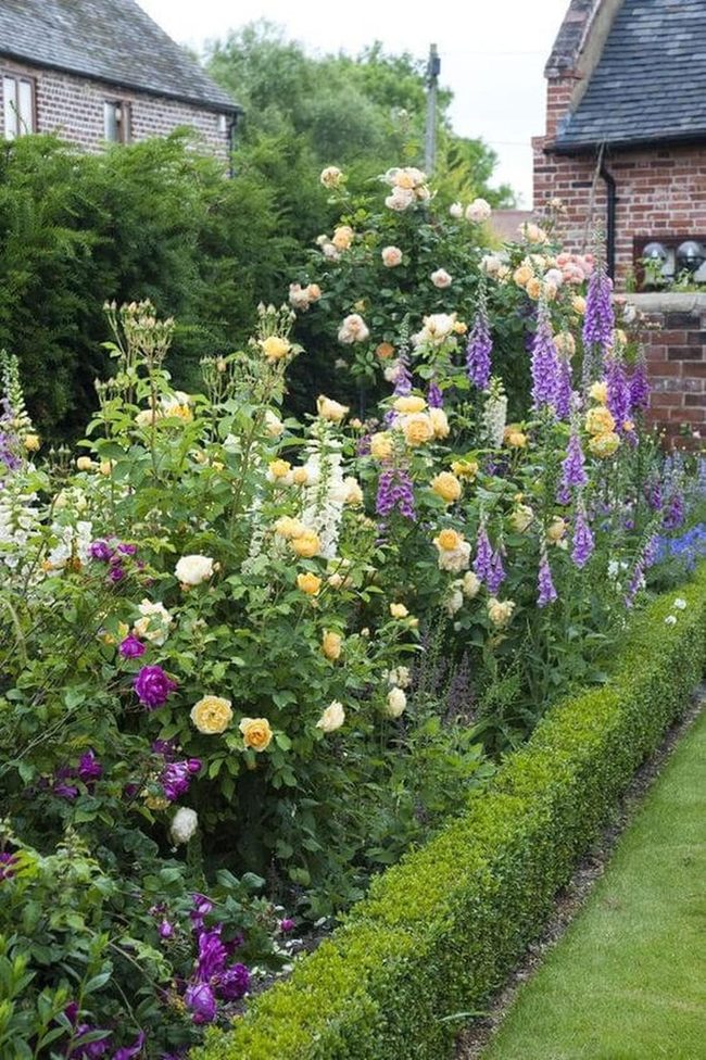 Roses Pink Spires Green Garden