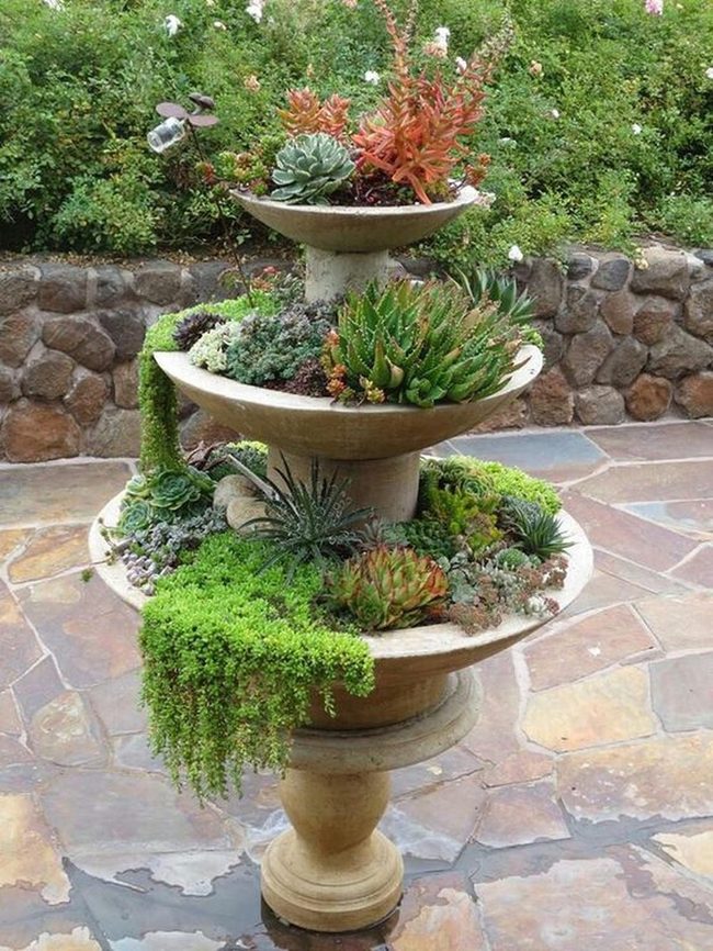 Stone Succulent Garden Masterpiece
