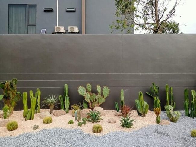 Gravel Pathways Through Desert Plants