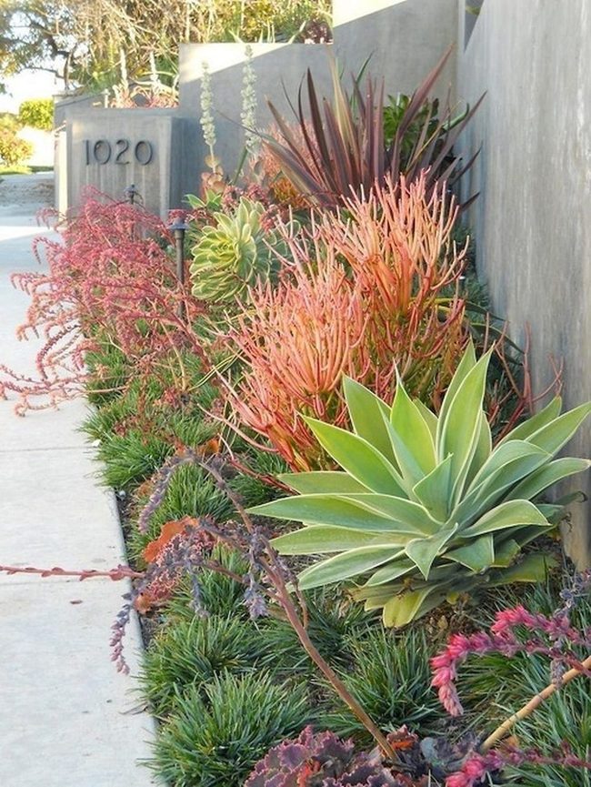 Drought-Resistant Desert Sculptures In Stone