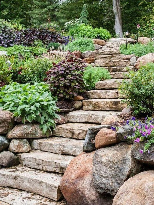 Stone Path Through Layered Gardens