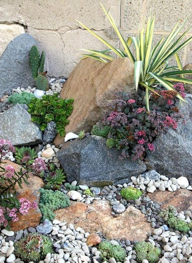 Purple Flowers Desert Stone Garden