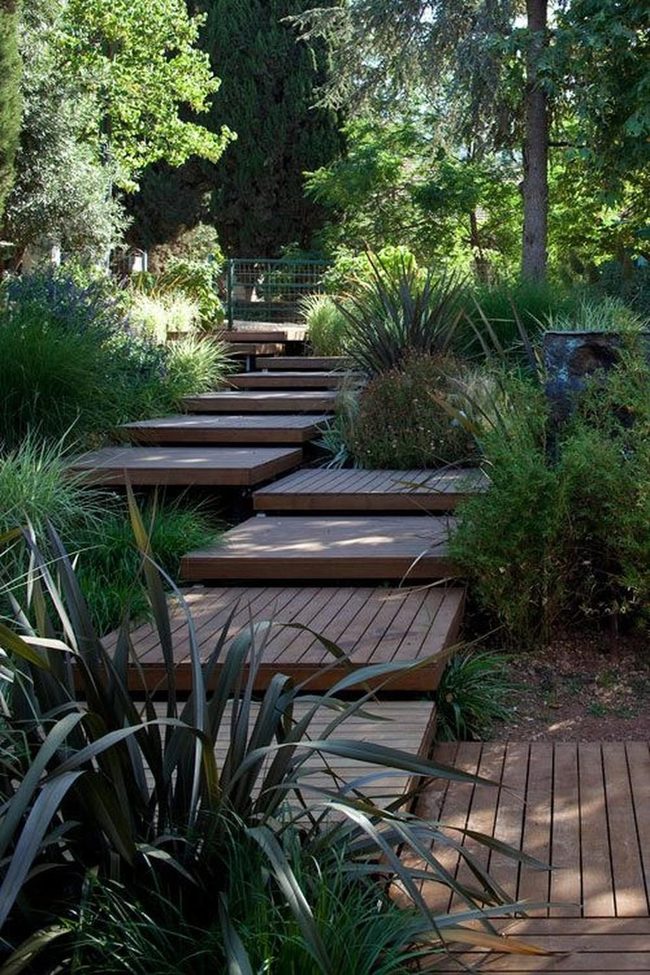 Wooden Path Through Dense Green Forest